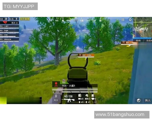 和平精英战术TES进攻体系解析与实战应用探讨